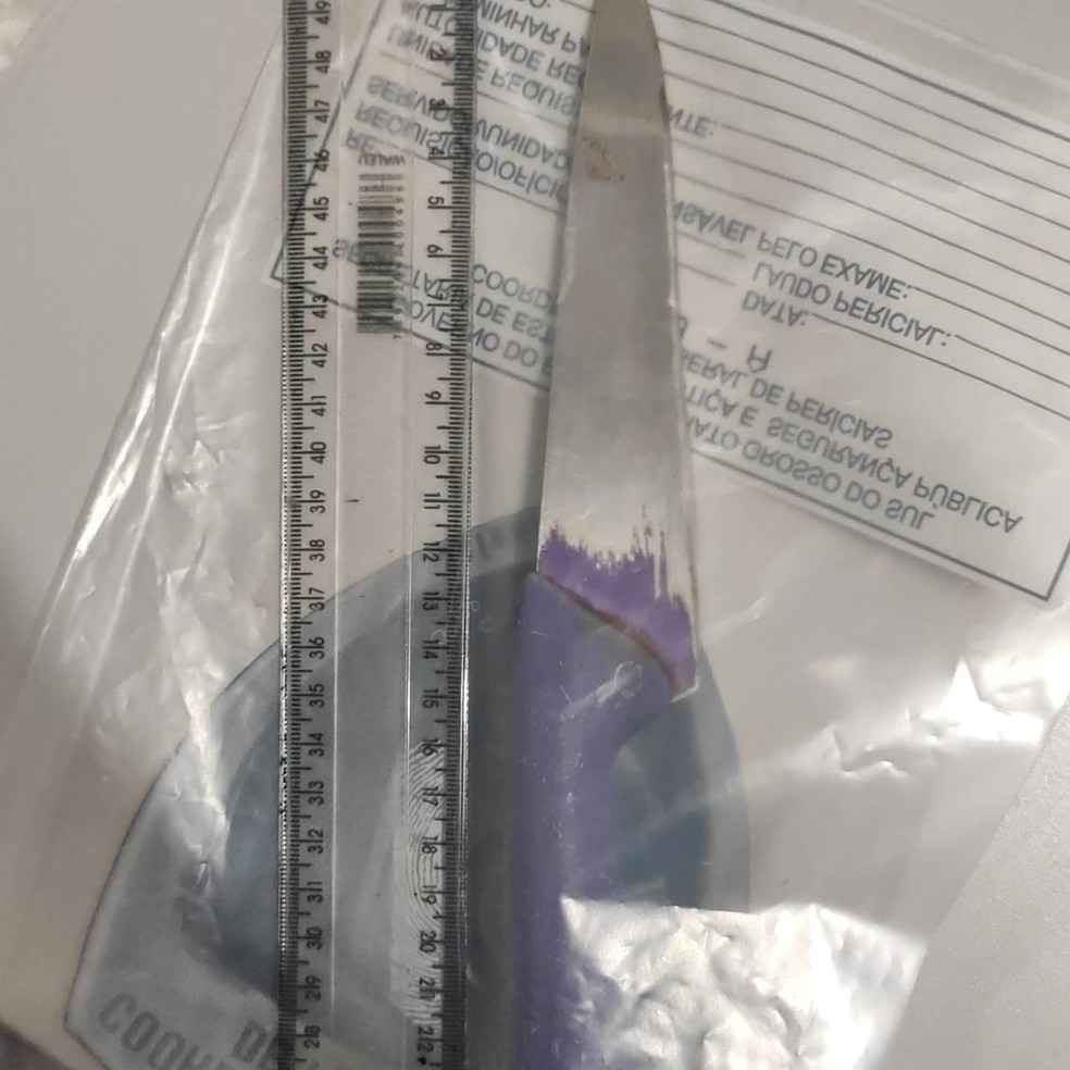 Adolescente mata namorado da mãe com facada no pescoço