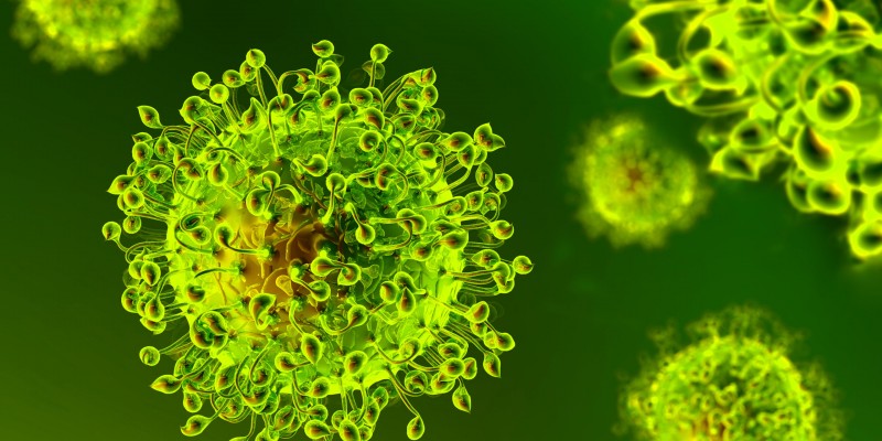 Variante de Manaus avança pelo Brasil e já circula em 12 estados 