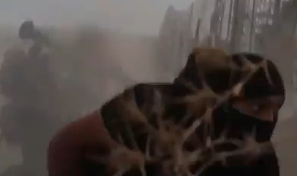 Seis palestinos são mortos por Israel em meio a trégua com Hamas