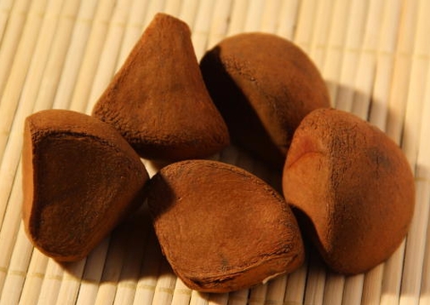 Óleo de Andiroba cura dermatites e até reumatismo; conheça benefícios