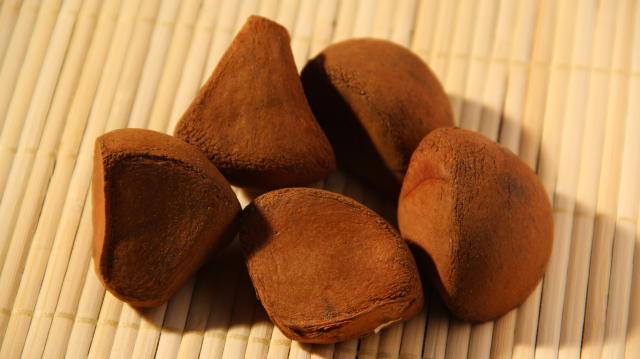 Óleo de Andiroba cura dermatites e até reumatismo; conheça benefícios