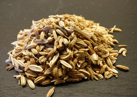 Erva-doce ajuda a controlar pressão alta; veja mais benefícios