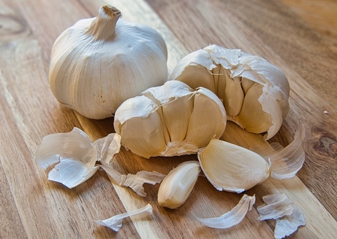 Confira os benefícios de tomar água de alho