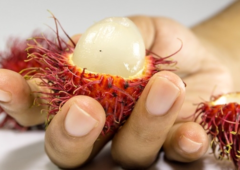 Rambutan é um poderoso aliado contra a diabetes
