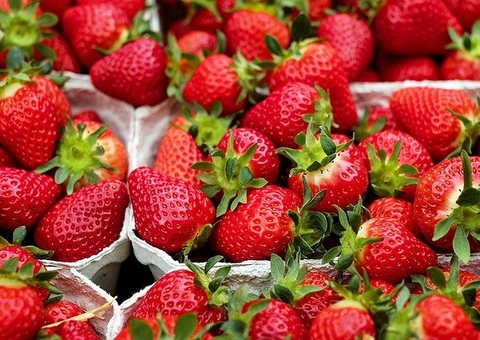 Morango protege os olhos; conheça benefícios