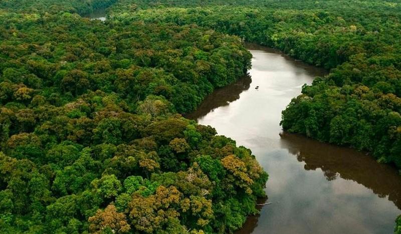 Manaus sediará 1º Congresso Internacional de Saúde Animal e Ambiental