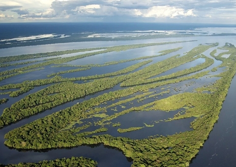 Bolsonaros miram nos parques ambientais do Amazonas