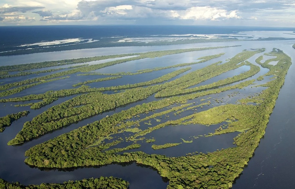 Bolsonaros miram nos parques ambientais do Amazonas