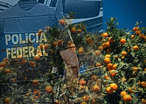 Laranjal é alvo da PF 