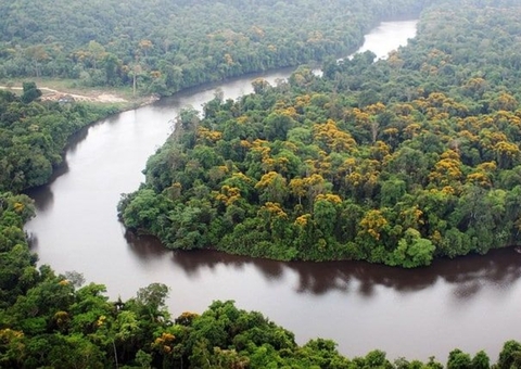  Amazônia é esquecida pelos candidatos 