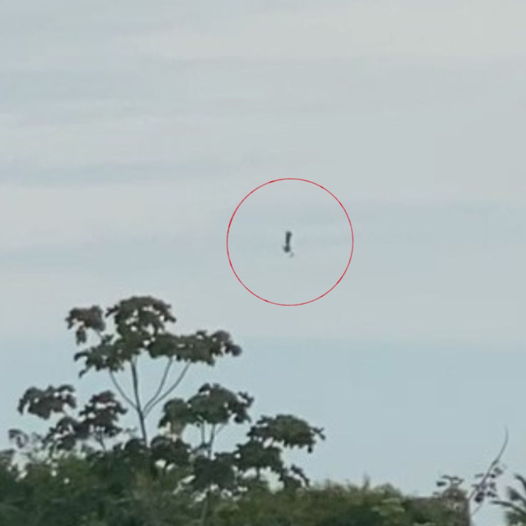 Paraquedista rodopia no ar após paraquedas não abrir em Manaus; vídeos