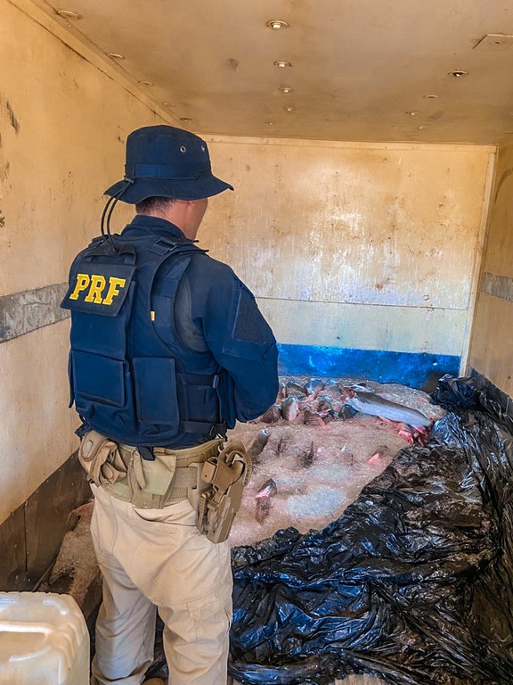 PRF apreende 800 kg de peixe dourado em rodovia no Amazonas
