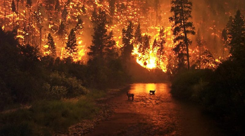 O turismo da região Amazônica está posto à prova