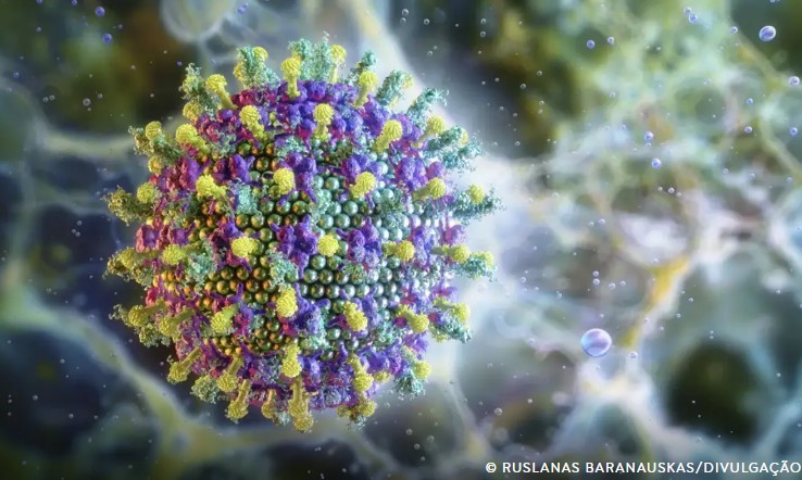 Vírus Nipah não representa ameaça ao Brasil, afirma Ministério da Saúde