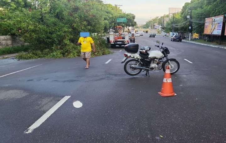 Árvore tomba e interdita trecho de avenida em Manaus 