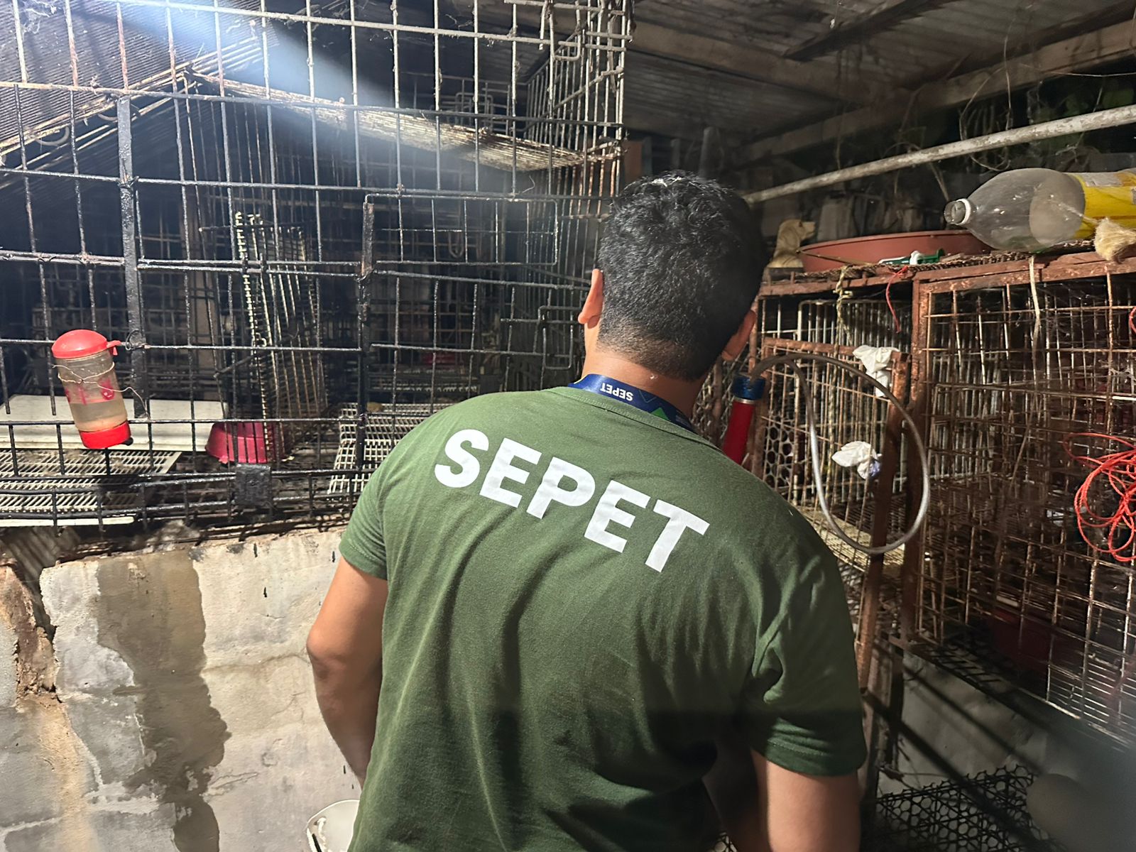 Mais de 20 animais são resgatados de canil clandestino no Jorge Teixeira