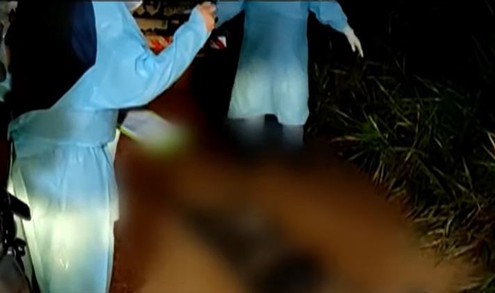 Com mãos amarradas e marcas pelo corpo, mulher é achada morta na AM-070