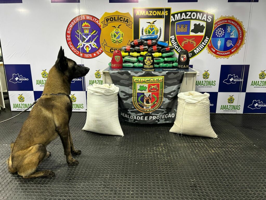 Drogas são encontradas dentro de saco de farinha no Amazonas