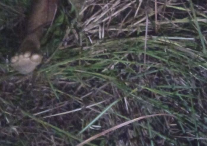 Adolescente de 14 anos sobrevive a acidente entre moto e carro na AM-070