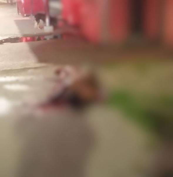 Homem é morto a facadas enquanto dormia na frente de banco em Manaus