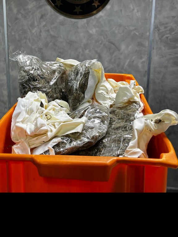 Cães farejadores encontram passageira com drogas presas ao corpo no Aeroporto de Manaus