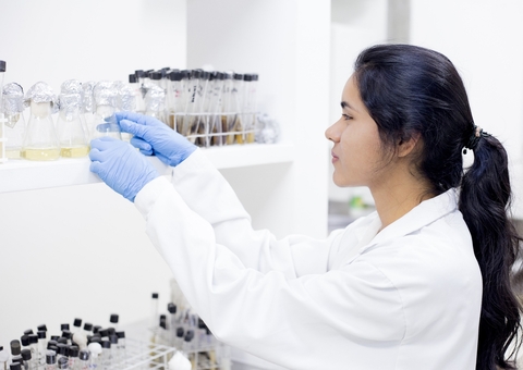 Fapeam intensifica apoio a programas de pós-graduação no Amazonas