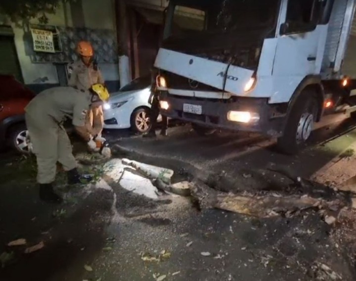 Árvore desaba sobre caminhão em movimento no centro de Manaus