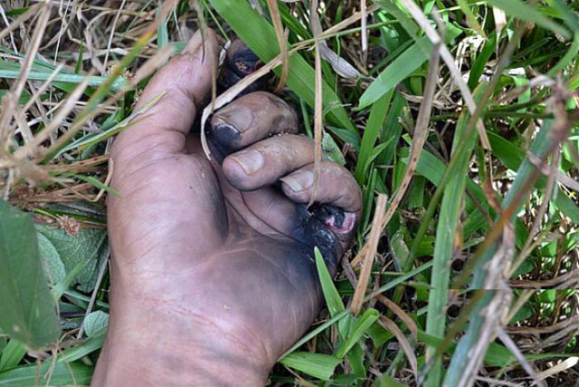 Homem morre ao levar choque elétrico em comunidade ribeirinha em Manaus