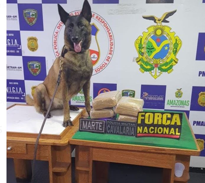 Drogas avaliadas em mais de R$ 165 mil são apreendidas em barco no Amazonas