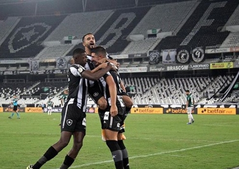 Botafogo vence Palmeiras e derruba último invicto do Brasileiro