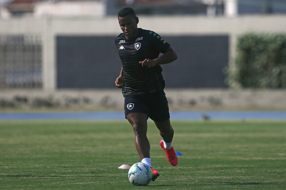 Mais dois jogadores do Botafogo testam positivo para Covid-19