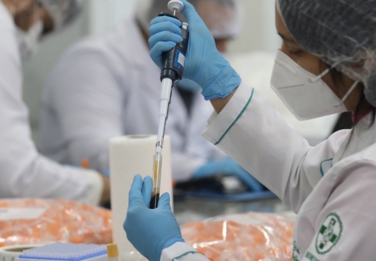 Anvisa aprova estudo de medicamento contra covid feito com células-tronco