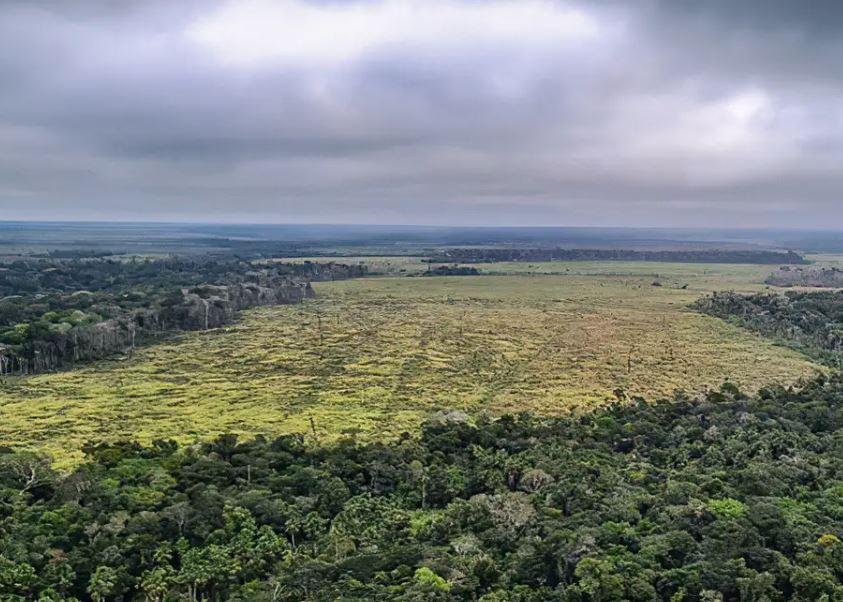 Destruição de florestas na Amazônia bate recorde mensal em setembro