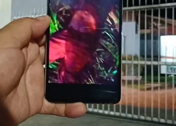 Homem morre ao ser atropelado enquanto caminhava na AM-010