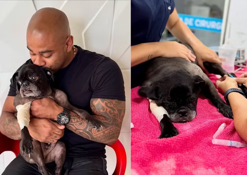 Cezar Black, do BBB23, lamenta morte de cãozinho Rocco