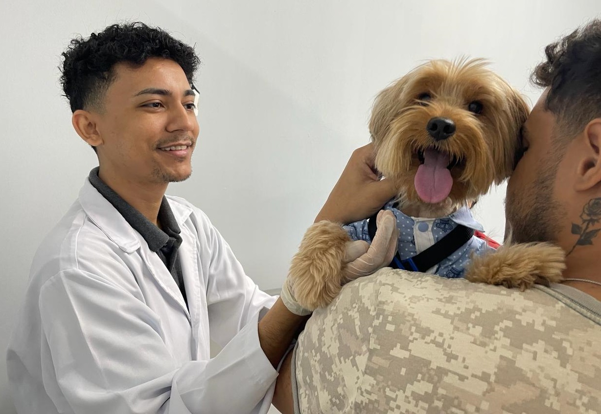 Cães e gatos contraem dengue? Veterinária esclarece dúvidas e faz alerta