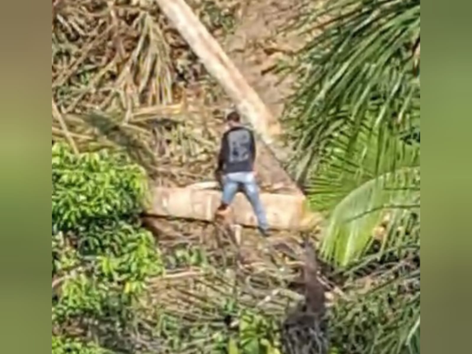 Homem é preso por derrubar árvores para invasão na Avenida das Torres