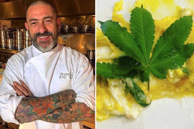 Henrique Fogaça mostra omelete de cannabis e causa polêmica