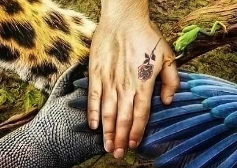 Luan Santana fará live no Pantanal para denunciar queimadas