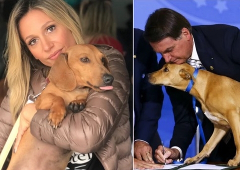 Luisa Mell é criticada por agradecer Bolsonaro e 'esquecer' Pantanal 