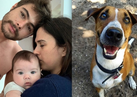 Tatá Werneck e Rafa choram por cãozinho: 'só Deus sabe o quanto te amamos'