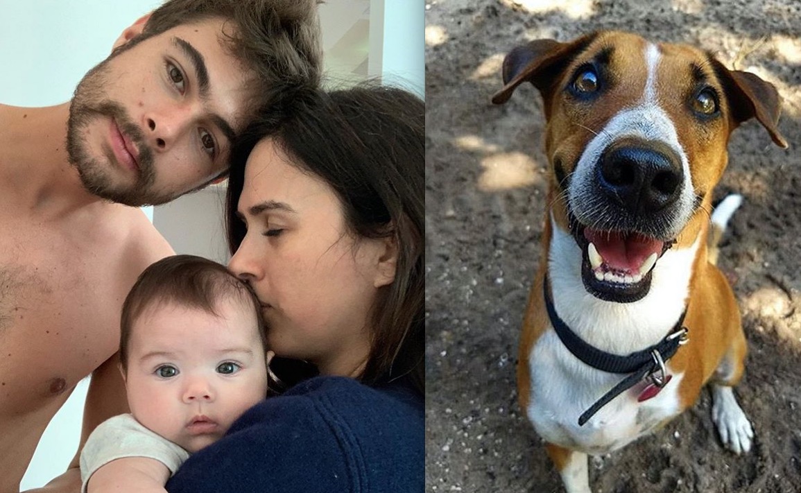 Tatá Werneck e Rafa choram por cãozinho: 'só Deus sabe o quanto te amamos'