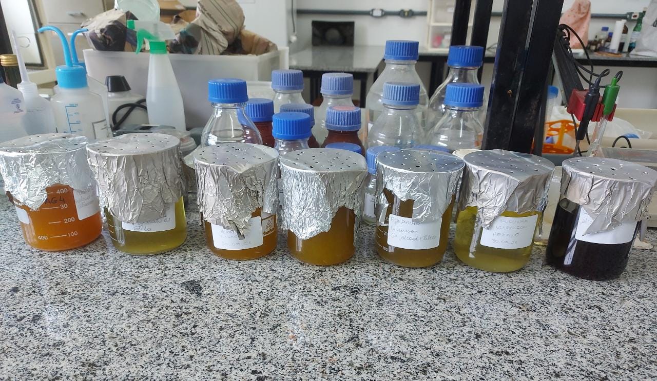 Casca do tucumã pode inibir bactérias causadoras de infecções, aponta pesquisa