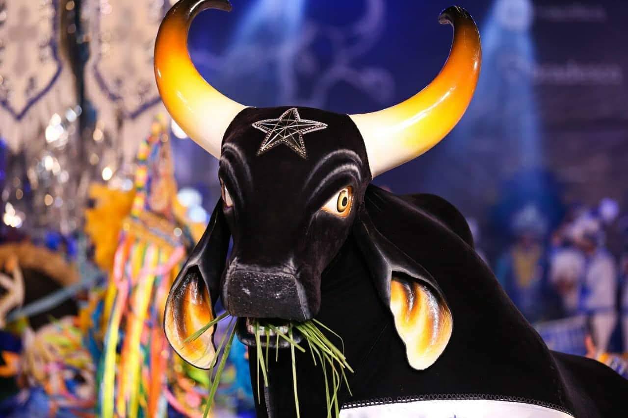 Boi Caprichoso celebra 108 anos com grande festa em Parintins