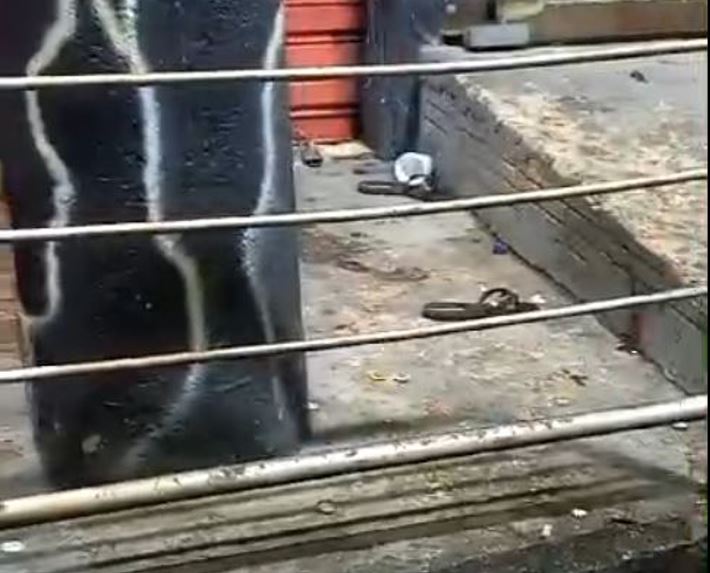 Homem é assassinado a tiros na frente da esposa no Novo Aleixo