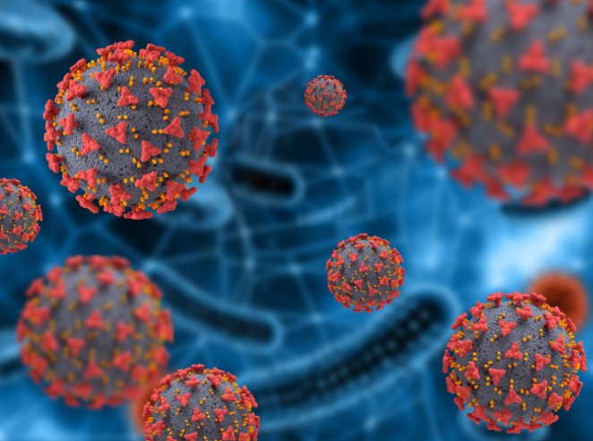 Países reforçam checagens sanitárias após surto do vírus Nipah na Índia