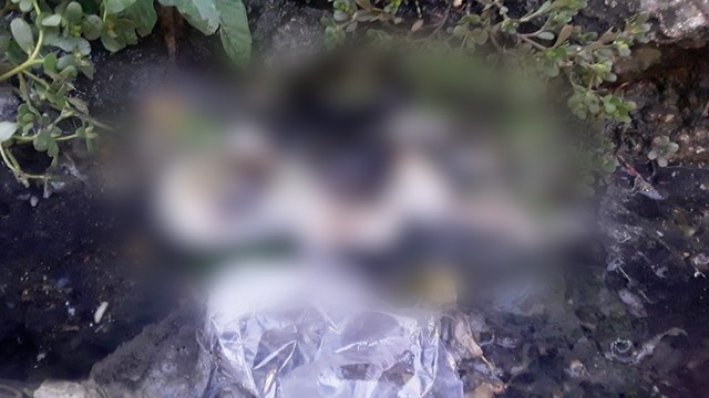 Feto é encontrado em saco de lixo ao lado de bilhete em Manaus 