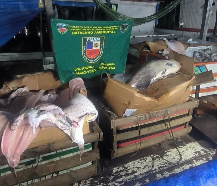 Polícia apreende mais de 1 tonelada de pescado ilegal na Feira da Panair