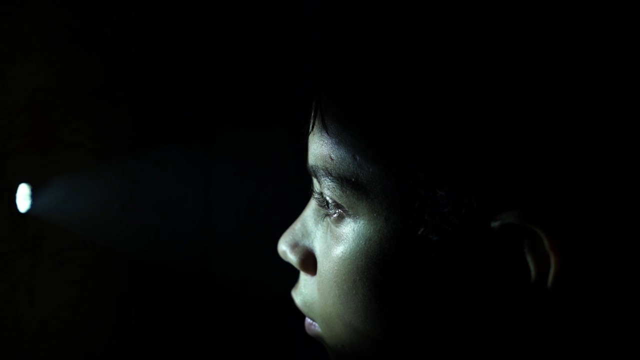 Festival Olhar do Norte tem mostras de cinema online até terça-feira 