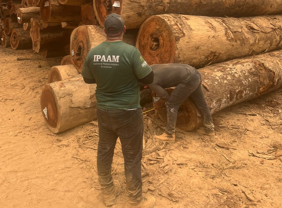 Ipaam anuncia fim do período de Defeso Florestal no Amazonas